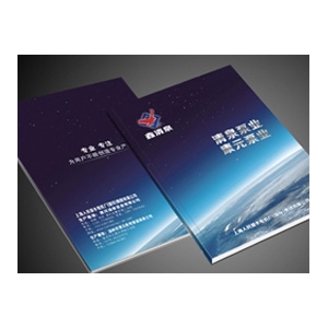 主营项目标题四